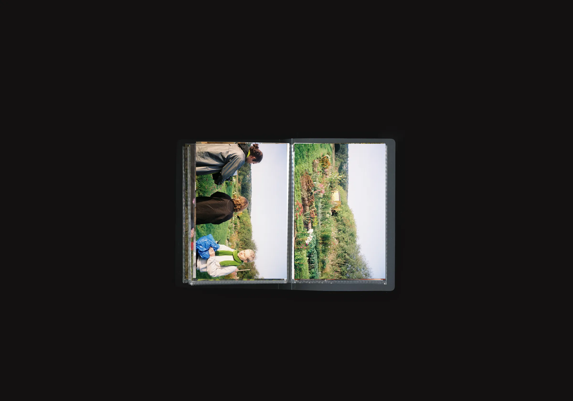 Harvest Column, image 5